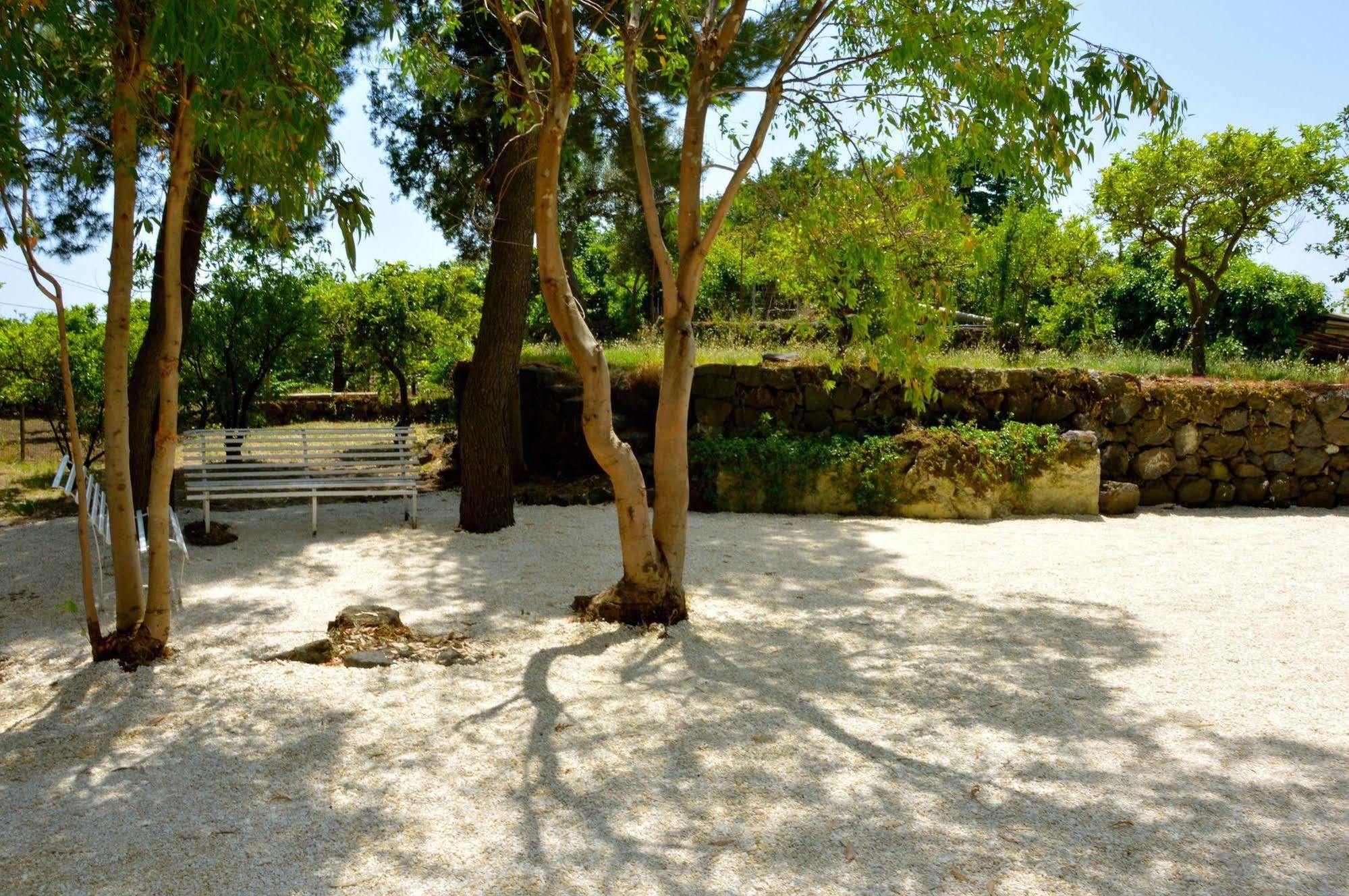 Villa Bonaccorso - Antica E Maestosa Villa Con Piscina Ai Piedi Dell'Etna Viagrande Exterior photo